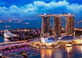 黄金网站app免费手机版